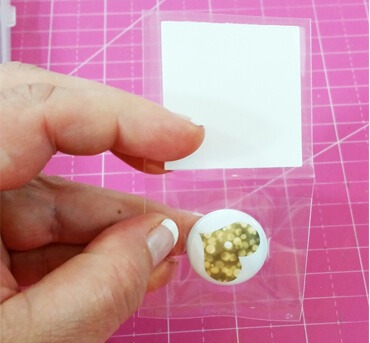 Coin Collector Sleeve