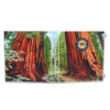 California state-parks-map-binder-brochure-holder
